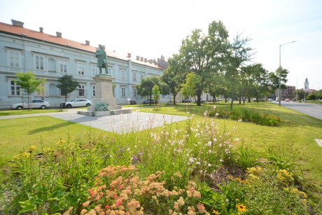 Fehérváron járt a Virágos Magyarországért Környezetszépítő Verseny zsűrije